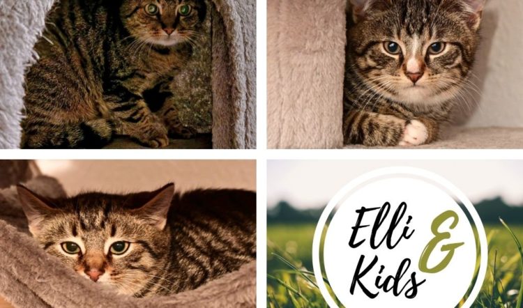 Elli & Kids